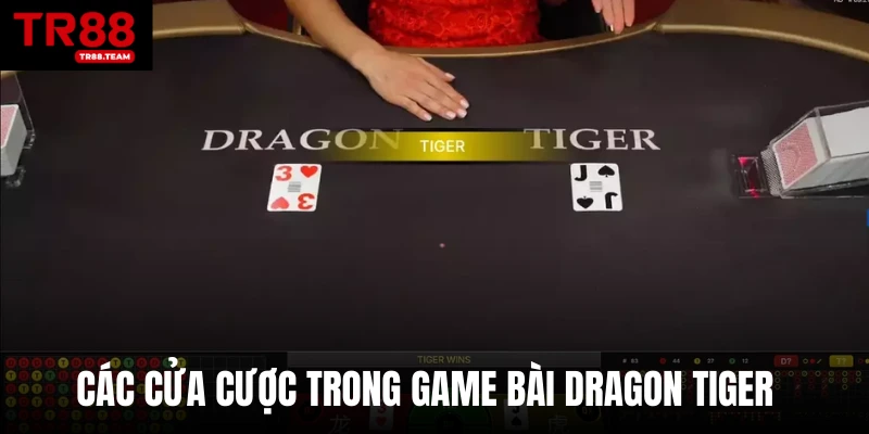 Các cửa cược trong game bài Dragon Tiger