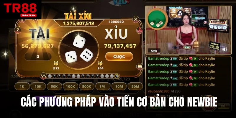 Các phương pháp vào tiền cơ bản cho newbie