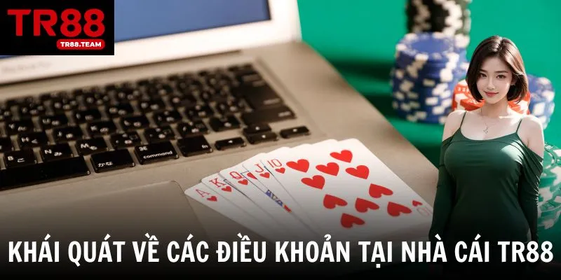 Điều khoản và điều kiện - Những quy định đang được áp dụng
