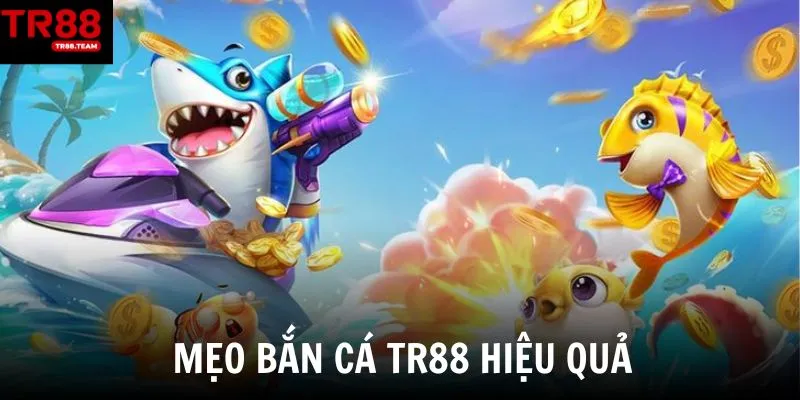 Kinh nghiệm săn cá hiệu quả từ cao thủ lâu năm